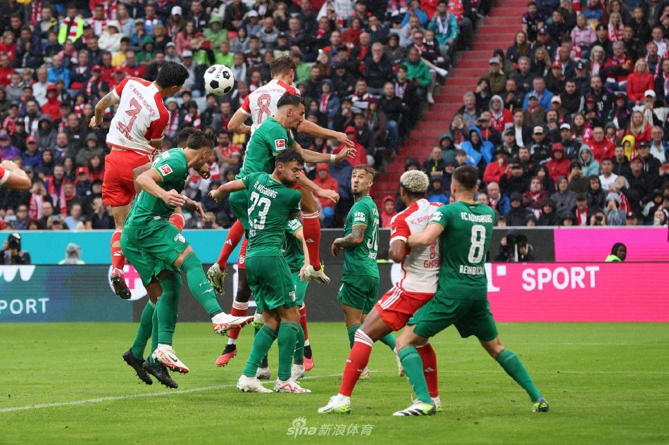 稳定著称的 稳定著称的